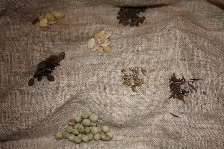 Slide 
													
													1