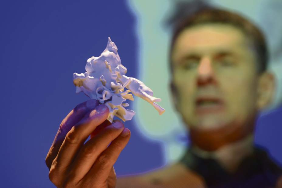 ptrlivnewdino03042716