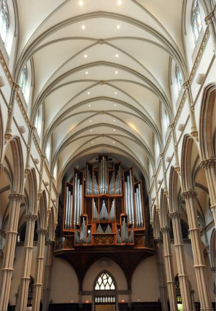 ptrlivpipeorgans7081212