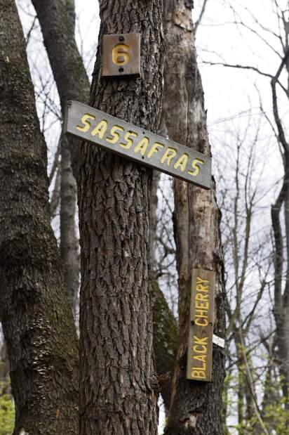 ptrlivpleasant10041516