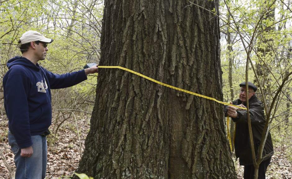 ptrlivpleasant1041516