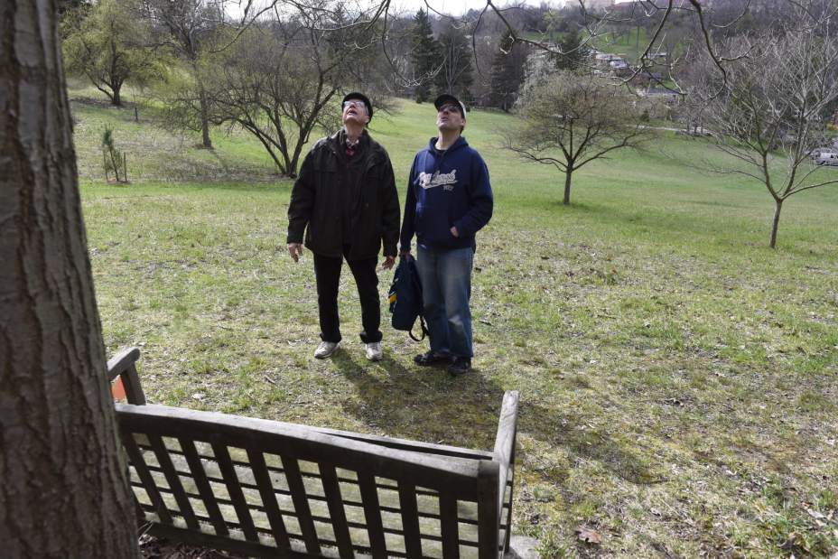 ptrlivpleasant2041516