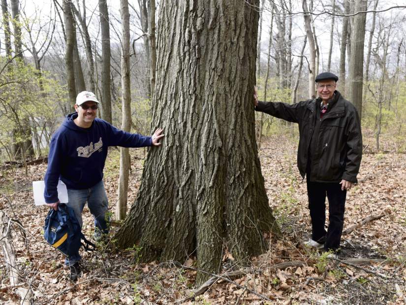 ptrlivpleasant3041516