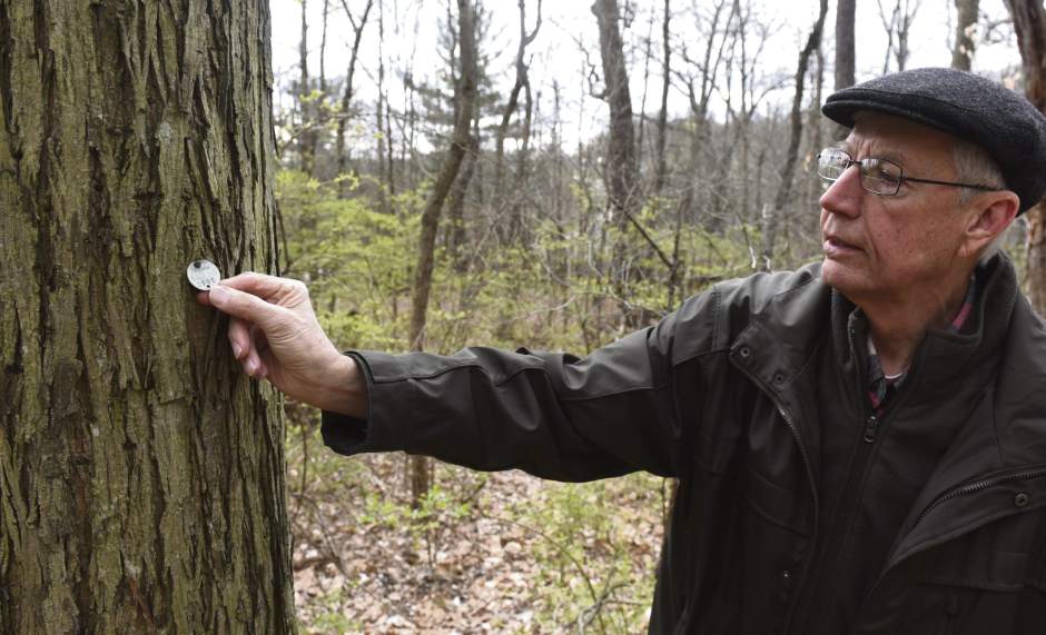 ptrlivpleasant4041516