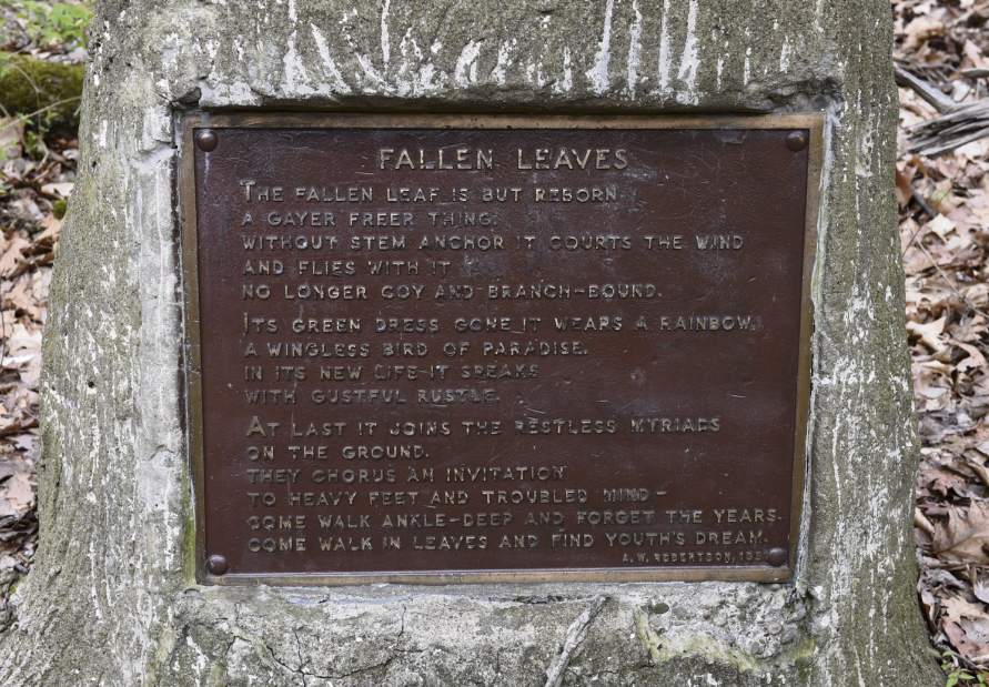 ptrlivpleasant9041516