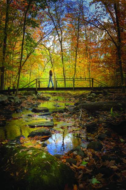 ptrlivrtMerrittParkwayC070515