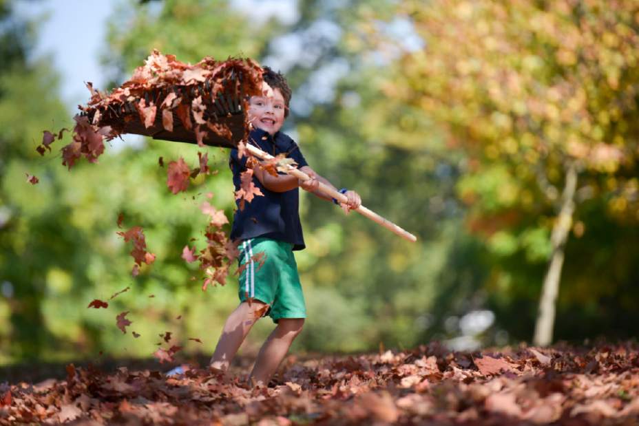 Slide 
													
													1