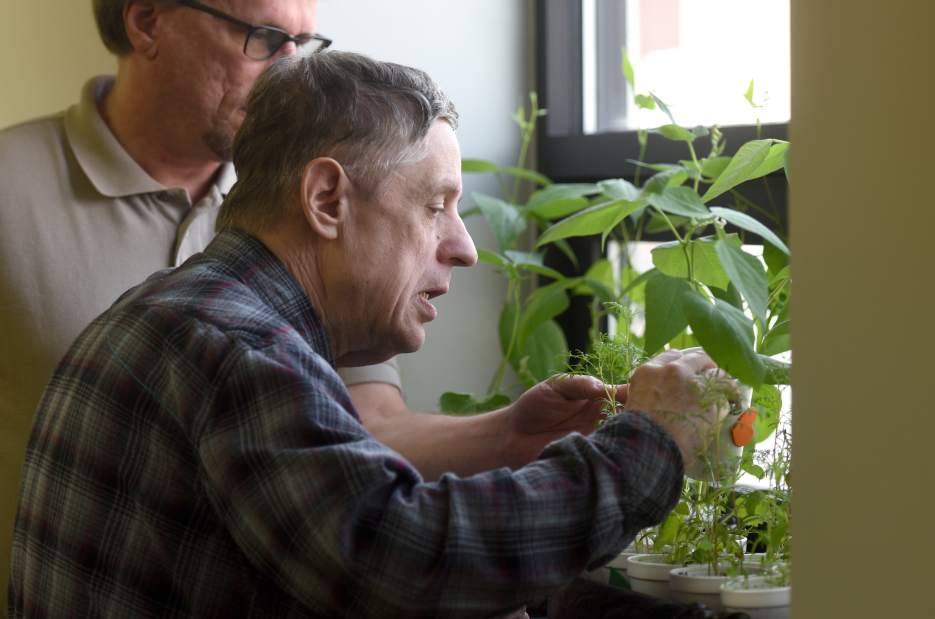 ptrnonprofitsurvey2052415