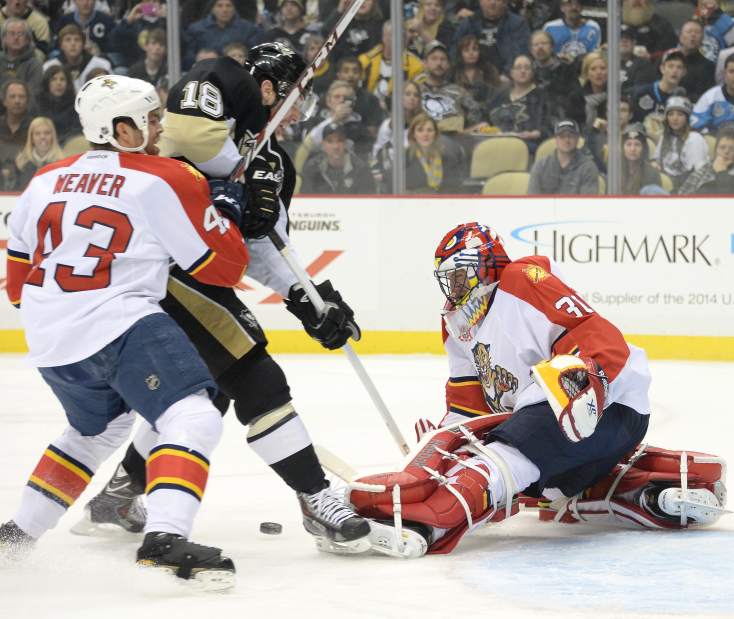 ptrpenspanthers01012114