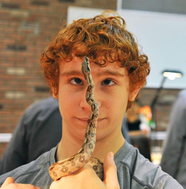 ptrreptile1122313