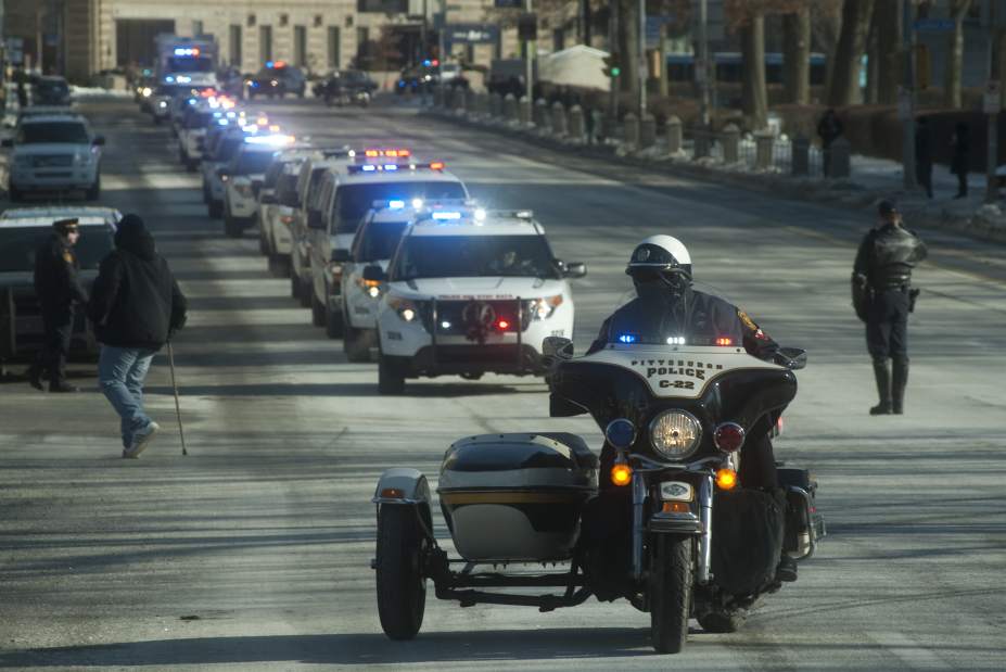 ptrrocco03020814 ptrrocco03020814