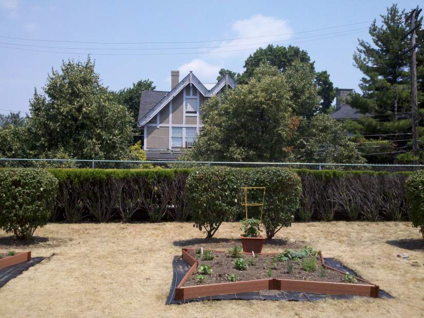 Slide 
													
													6