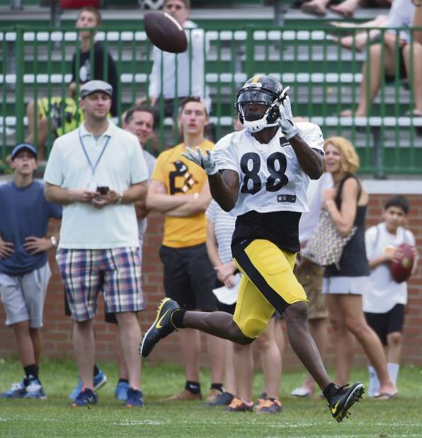 ptrsteelers02080916