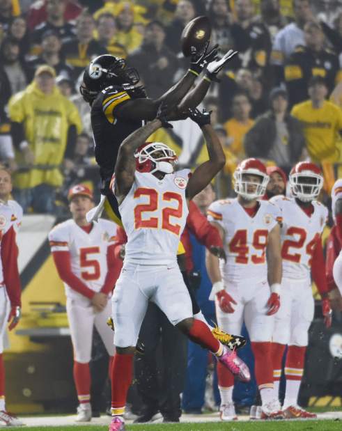 ptrsteelers04100316