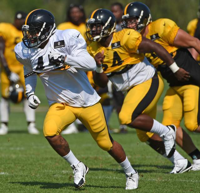 ptrsteelers05081715