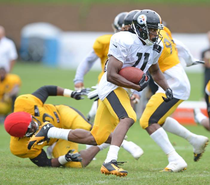 ptrsteelers06072914 ptrsteelers06072914