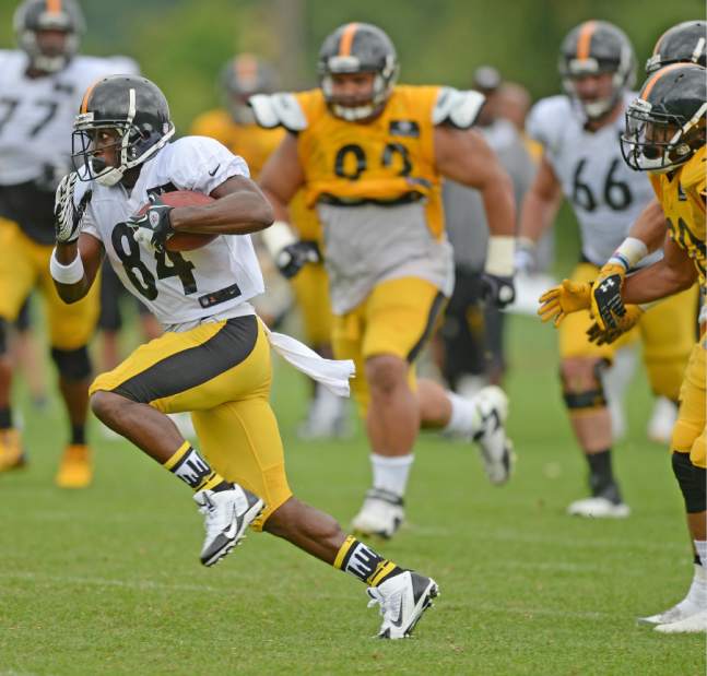 ptrsteelers07072914 ptrsteelers07072914
