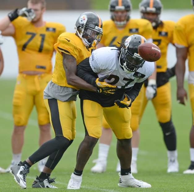 ptrsteelers08072914 ptrsteelers08072914