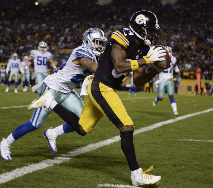 ptrsteelers100111416