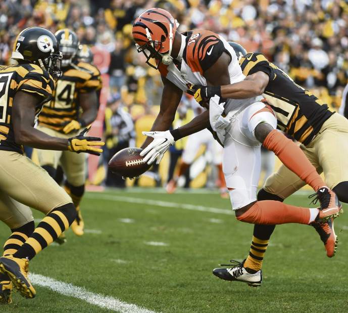 ptrsteelers10110215