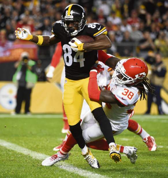 ptrsteelers11100316