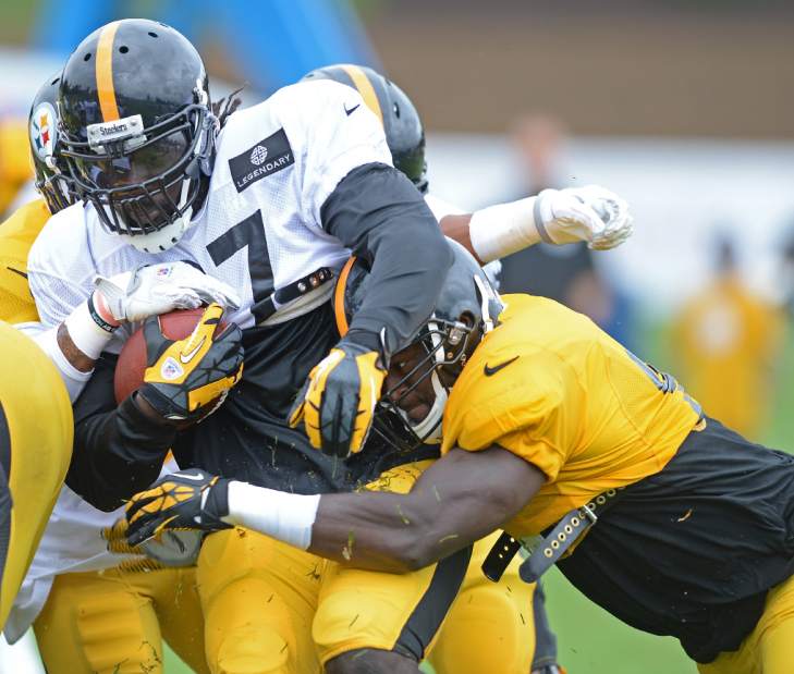 ptrsteelers13072914 ptrsteelers13072914