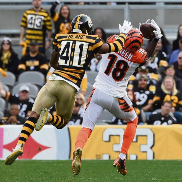 ptrsteelers17110215