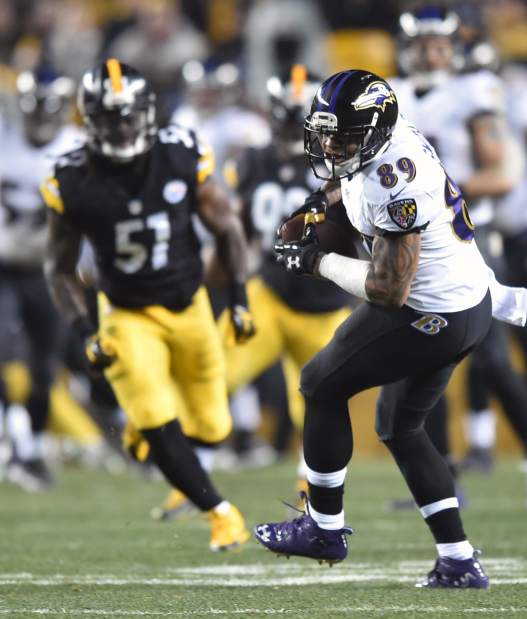 ptrsteelers22010415