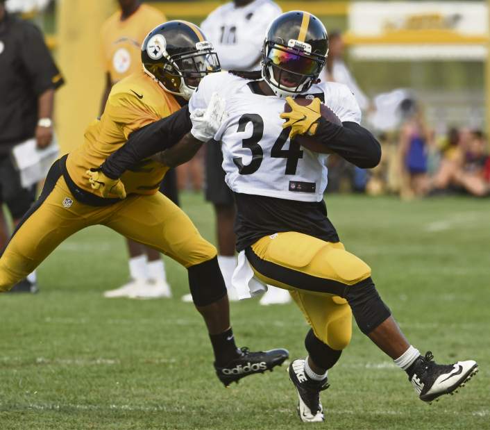 ptrsteelers22080116