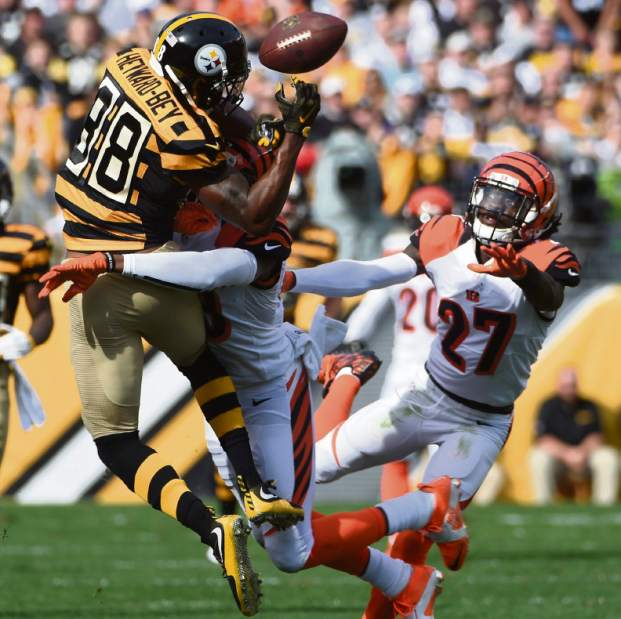ptrsteelers57110215
