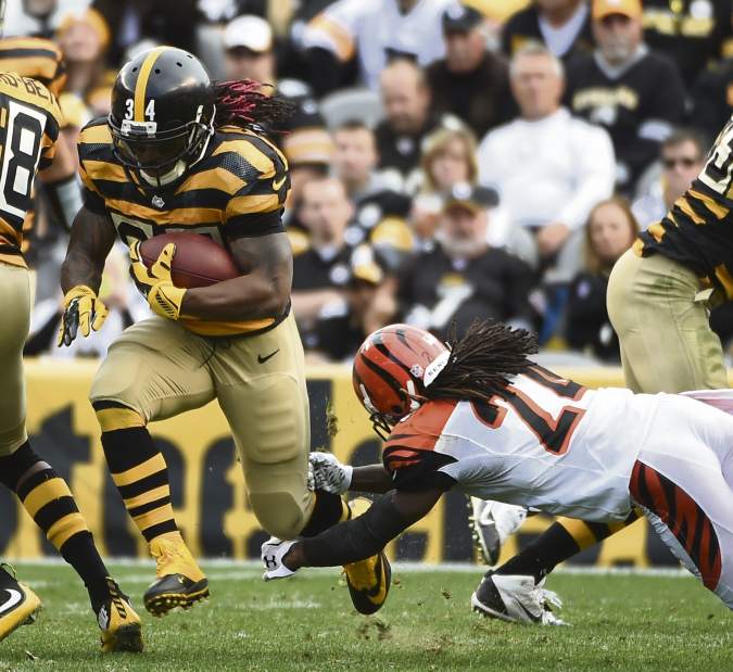 ptrsteelers60110215