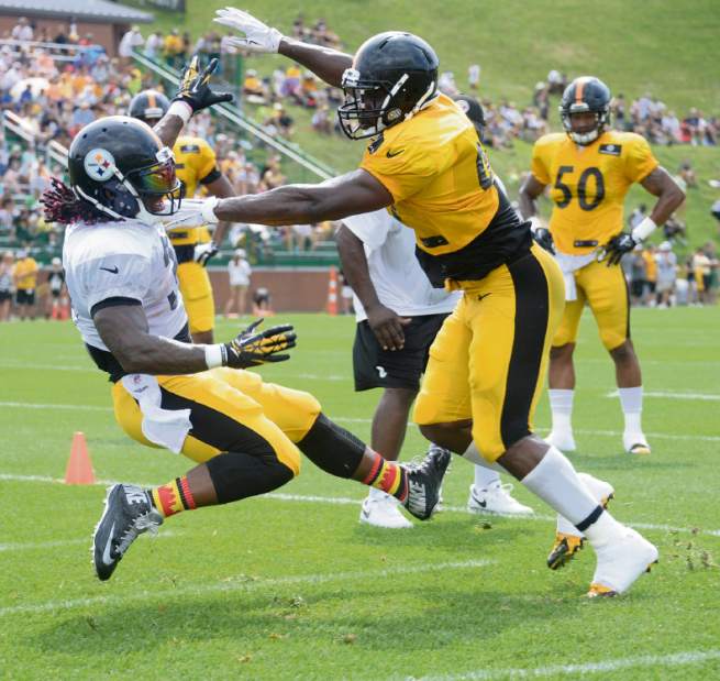 ptrsteelerscamp02072416