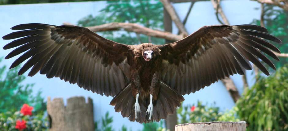 ptrtkkidsbriefs1081612 ptrtkkidsbriefs1081612