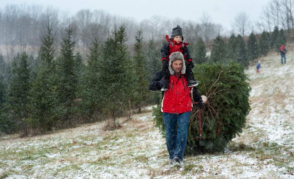 Western Pennsylvania Families Flocking To Christmas Tree Farms Triblive Com