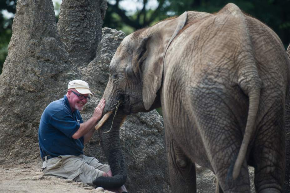 ptrzoo01082915 ptrzoo01082915