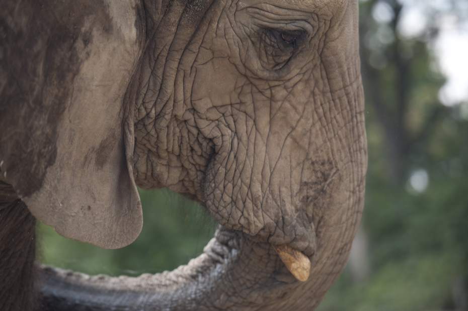 ptrzoo02082915 ptrzoo02082915