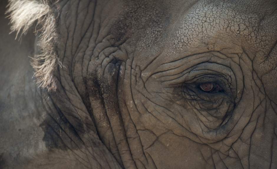 ptrzoo03082915 ptrzoo03082915