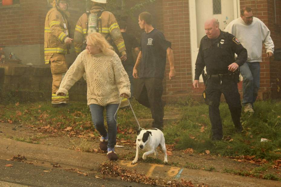 vndArnFire1111416 vndArnFire1111416