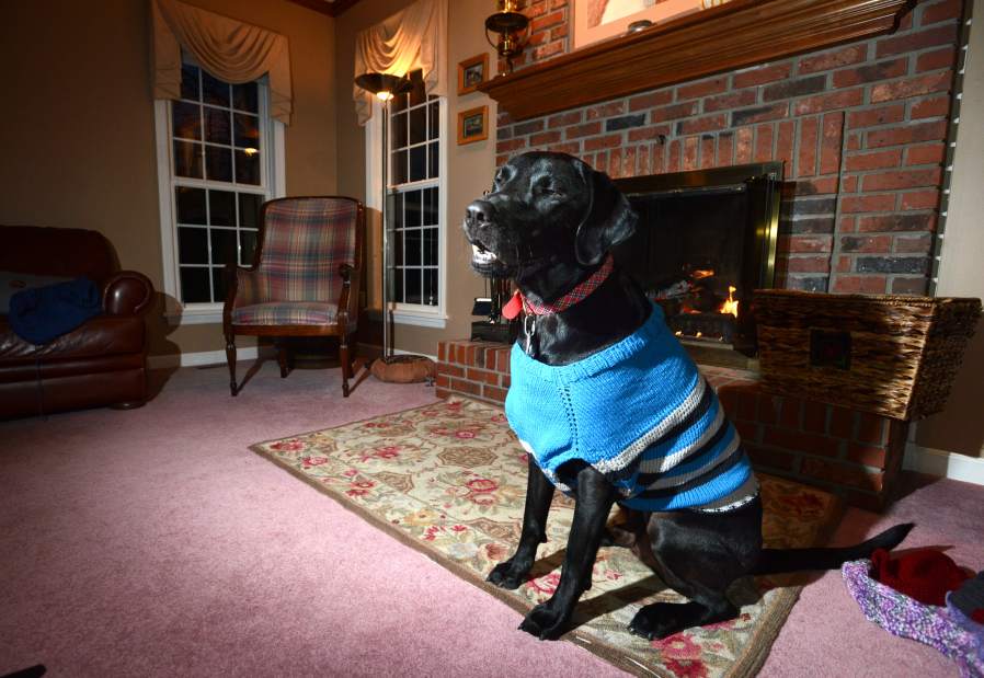 vndLIVfibersforfido6112414