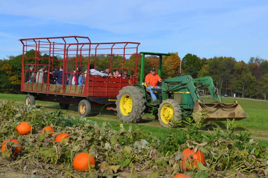 vndLIVpumpkinfest2092115