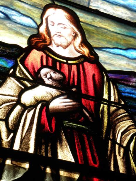 vndLIVtarentumtour2041915