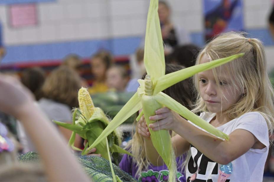 vndfarmlesson1090717