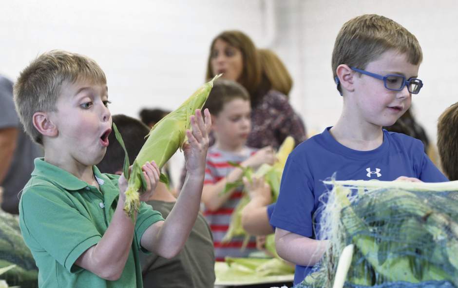 vndfarmlesson3090717