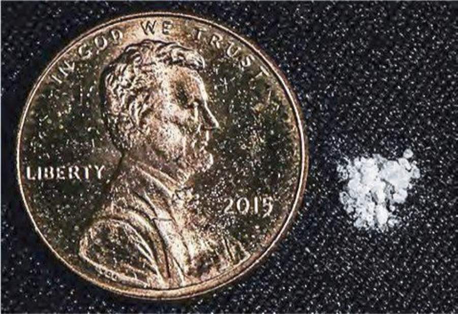 vndfentanyll4031317