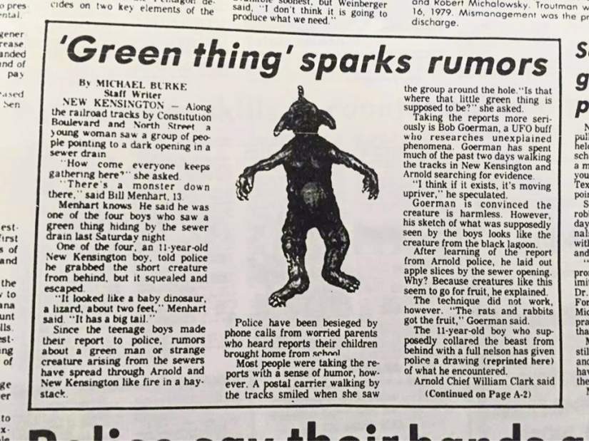 vndgreenman1091517