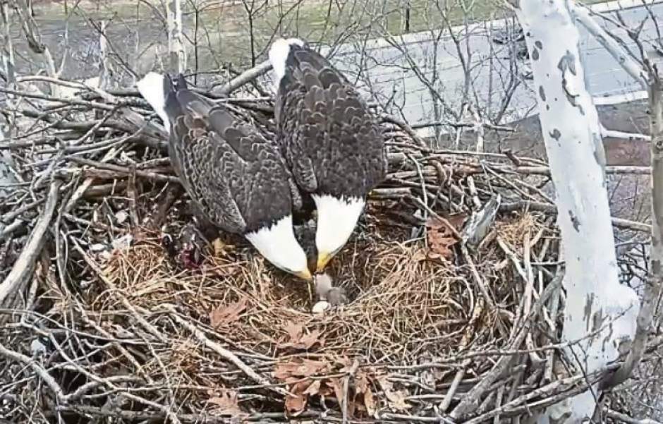 Slide 
													
													1