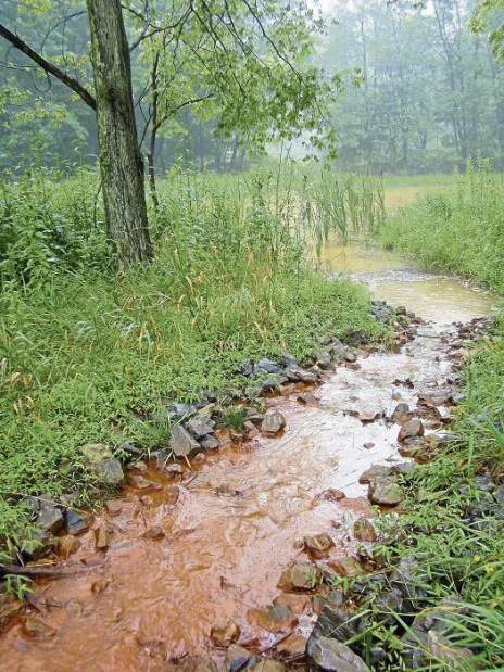 Slide 
													
													2