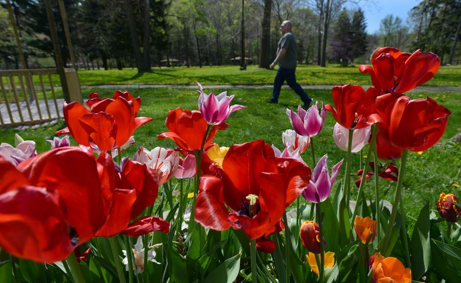 Slide 
													
													1