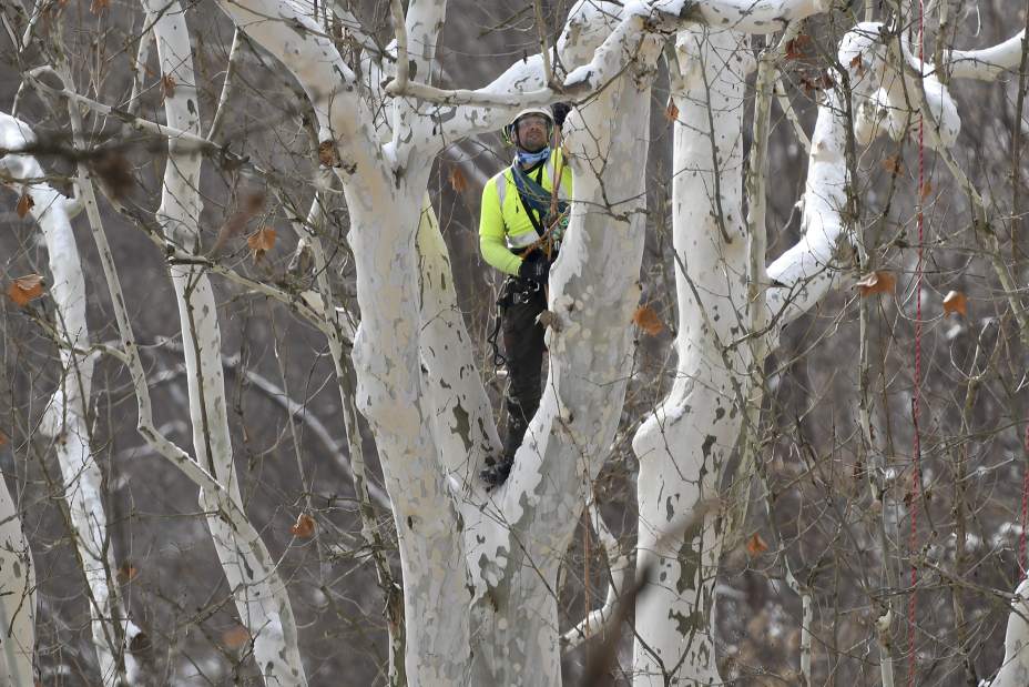 vndneweaglecam1216171