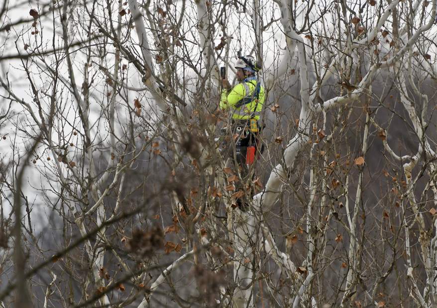 vndneweaglecam1216172